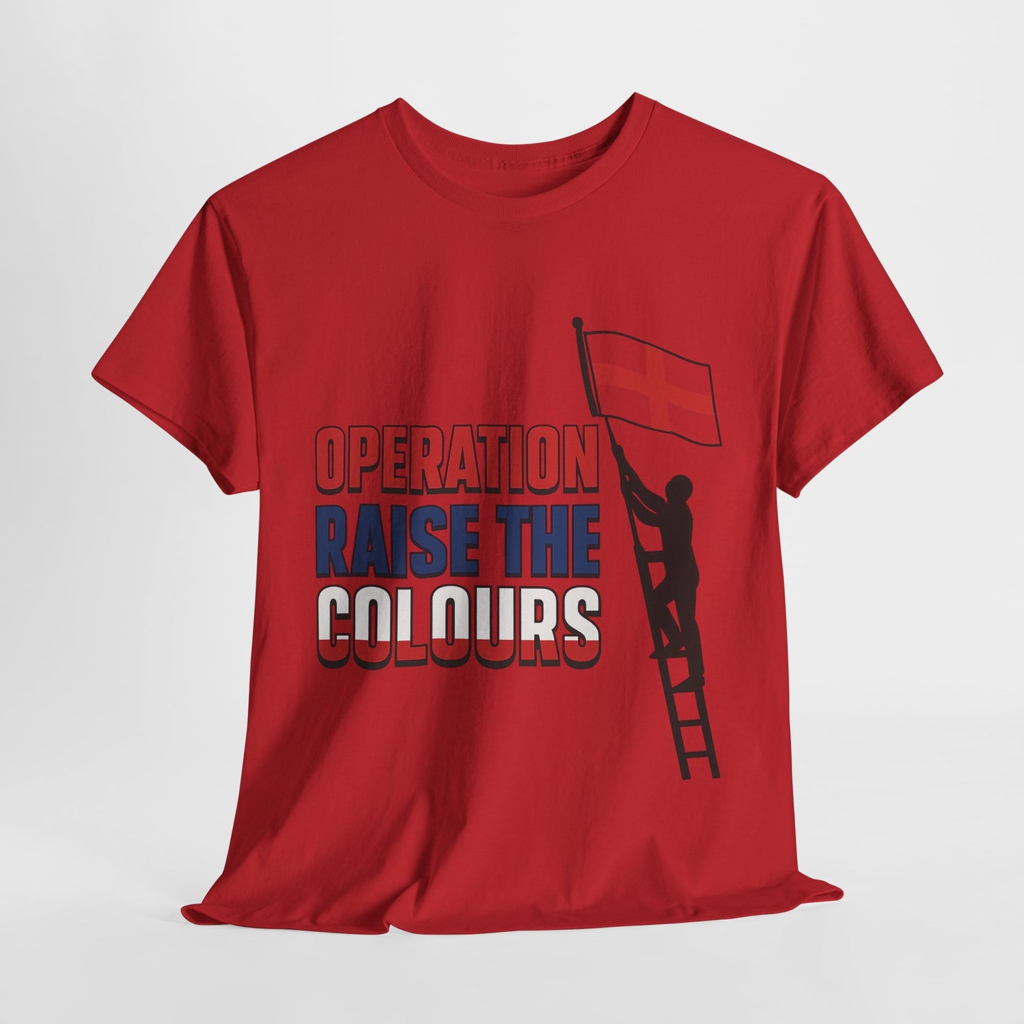 operation raise the colours Unisex Heavy Cotton Tee