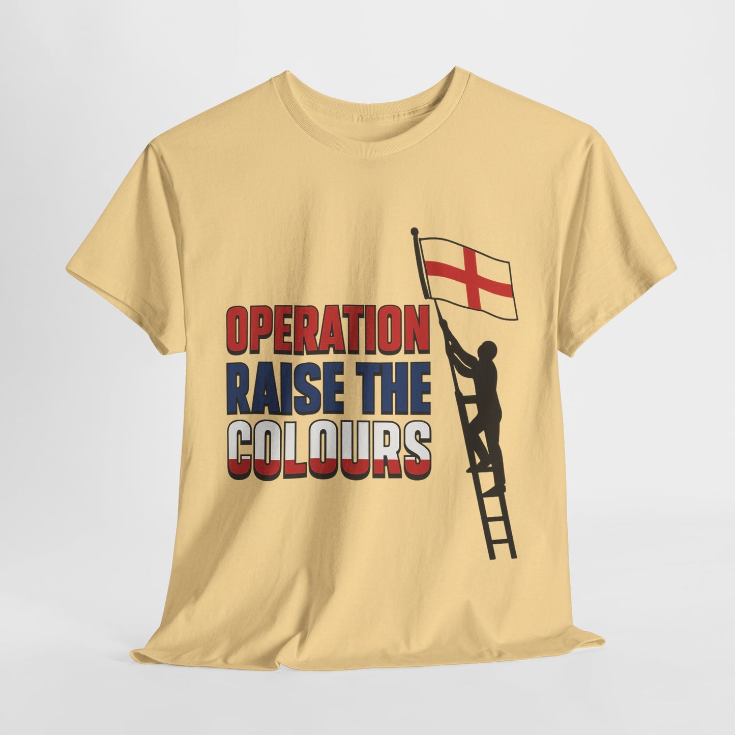 operation raise the colours Unisex Heavy Cotton Tee